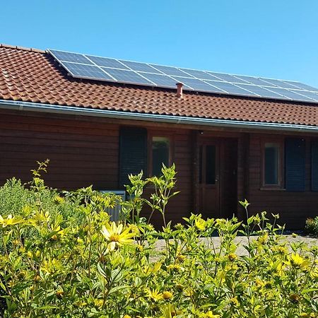 Blockhaus Villa Kägsdorf Exteriör bild