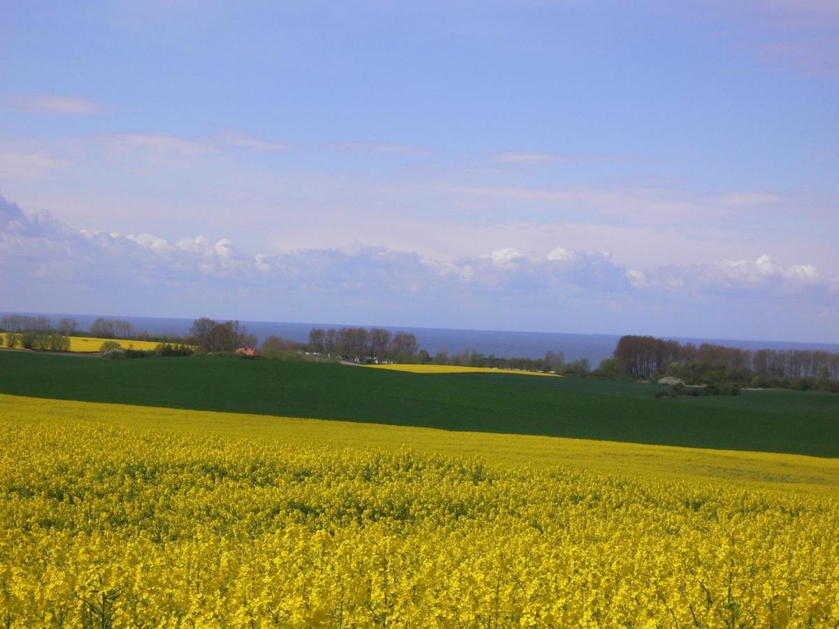 Blockhaus Villa Kägsdorf Exteriör bild